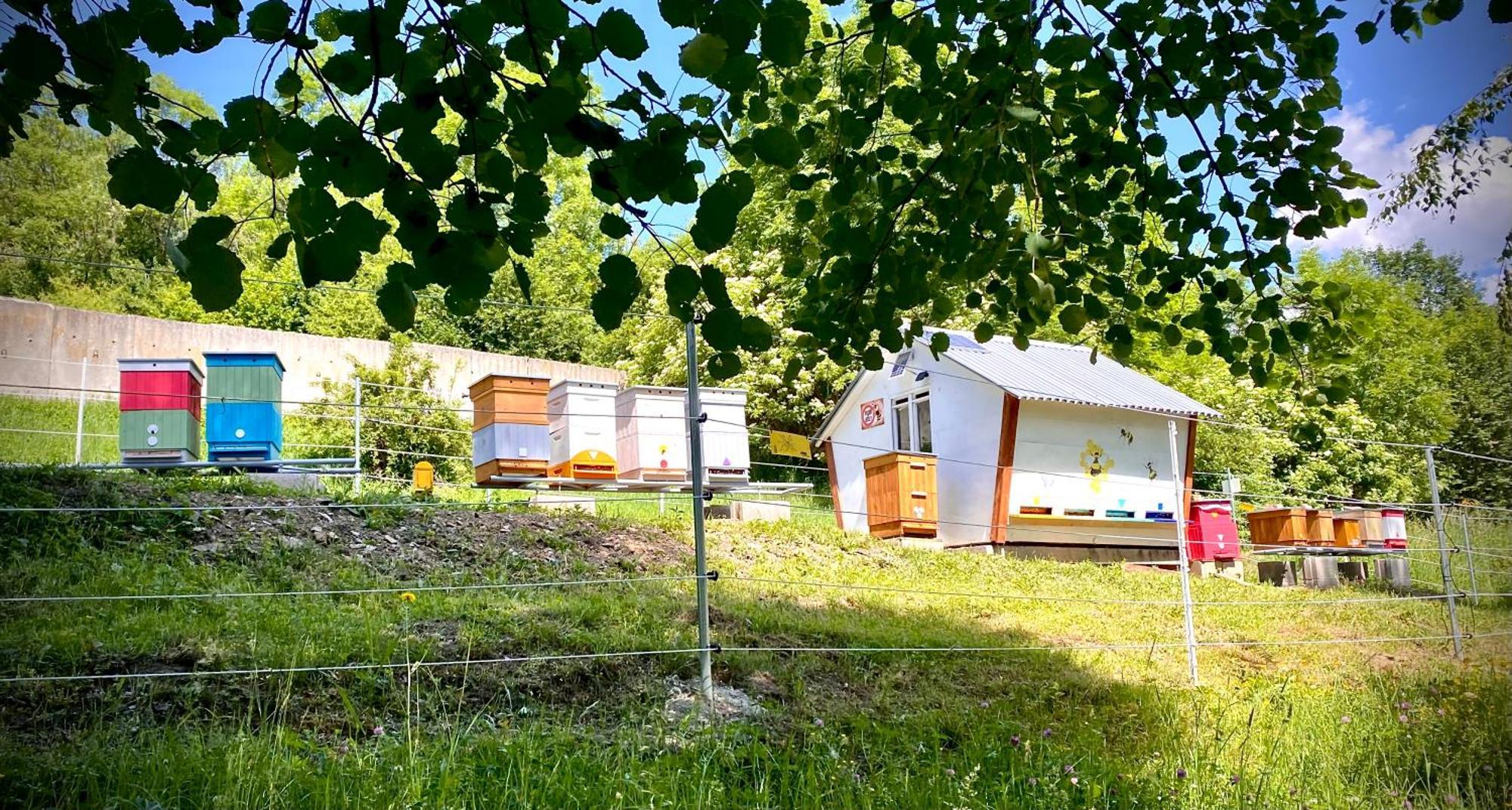 Apartmany Svrcinky Liptovský Mikuláš Exterior foto