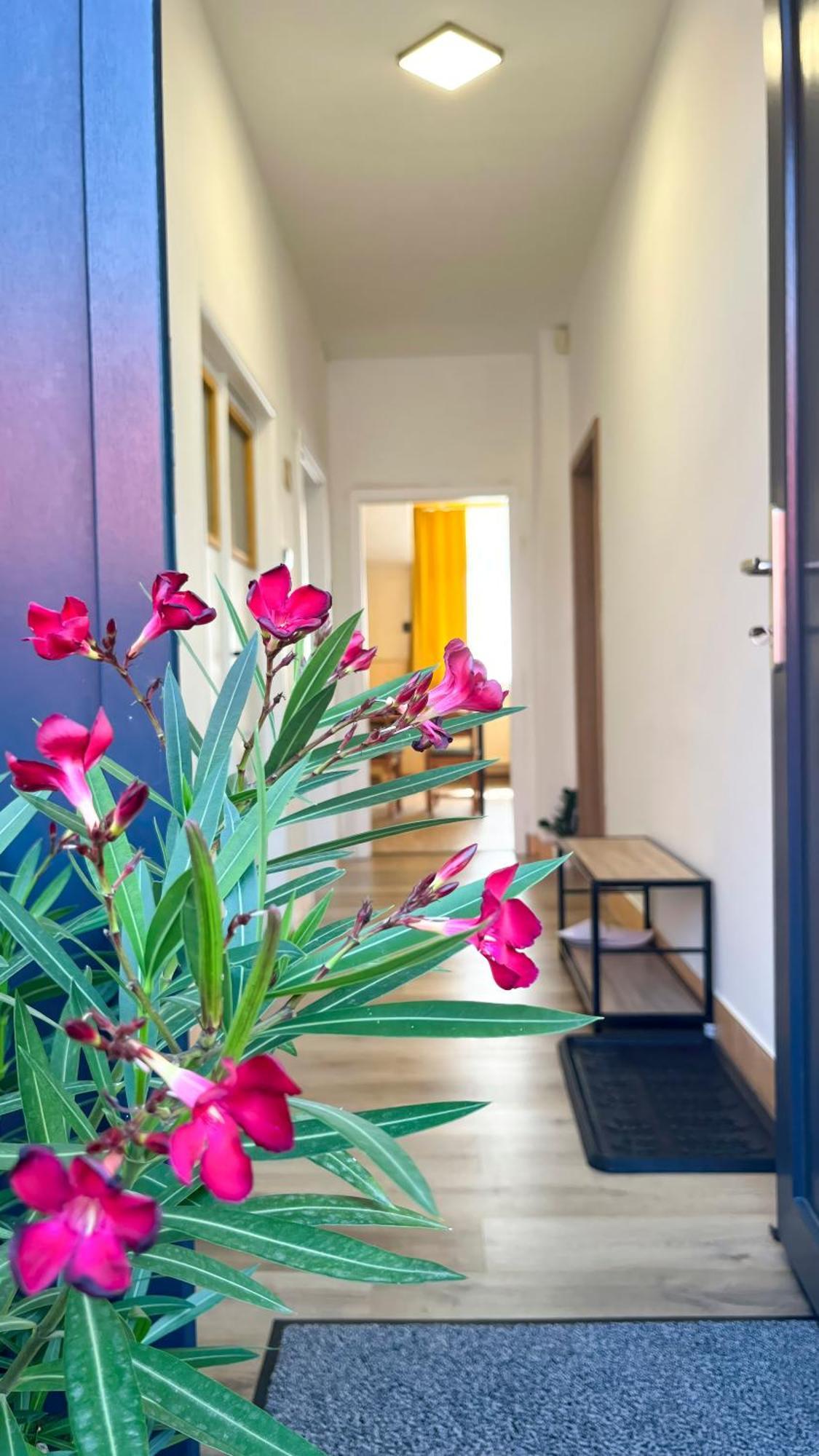 Apartmany Svrcinky Liptovský Mikuláš Exterior foto